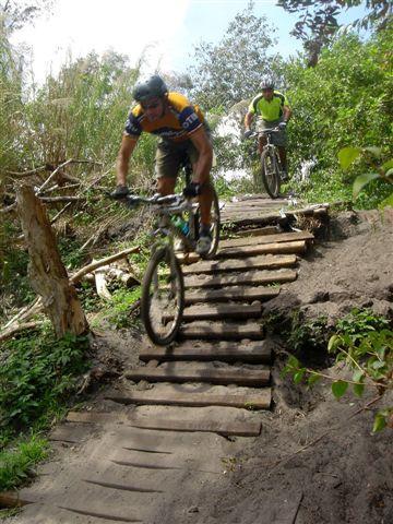Two mountain bikers navigating a wooden bridge built over a dirt trail, surrounded by lush greenery. One biker is jumping off the bridge while the other is riding closely behind. Markham Park mountain bike trail.