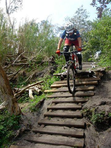 A mountain biker navigating a steep set of wooden planks in a lush, green outdoor setting. The cyclist is wearing a helmet and protective gear, showcasing a dynamic position as they balance on the bike while descending the stairs. Surrounding vegetation includes tall grass and trees, contributing to the adventurous atmosphere. Markham Park mountain bike trail.