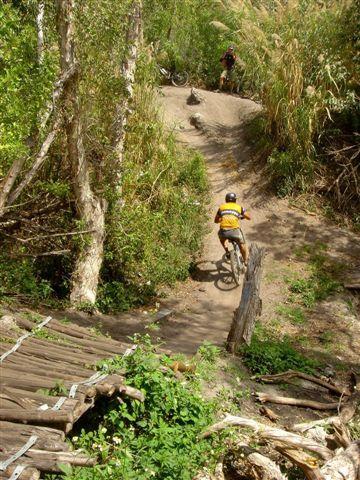 A person riding a mountain bike down a dirt trail surrounded by dense greenery and trees. In the background, another cyclist is visible, and the trail features wooden elements and a rocky section. Markham Park mountain bike trail.