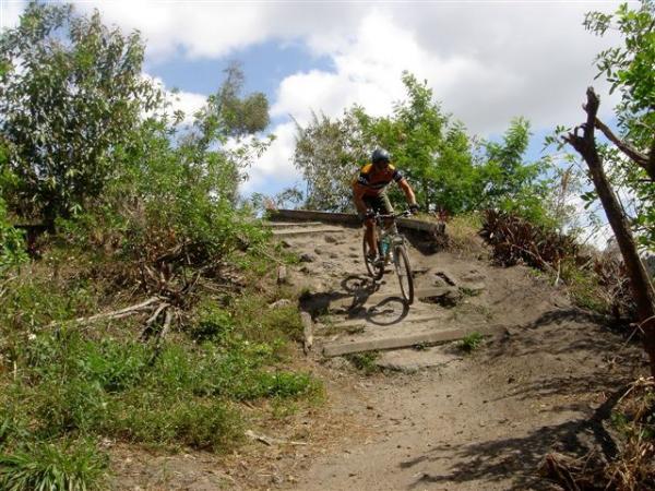 A mountain biker navigating a dirt trail on a wooded hillside, leaping off a small ledge, with greenery and blue skies in the background. Markham Park mountain bike trail.