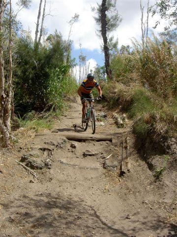 A mountain biker navigating a rugged dirt trail surrounded by trees and vegetation. The rider is wearing a helmet and brightly colored jersey, focused on traversing the uneven terrain, which includes loose dirt and a log across the path. Markham Park mountain bike trail.