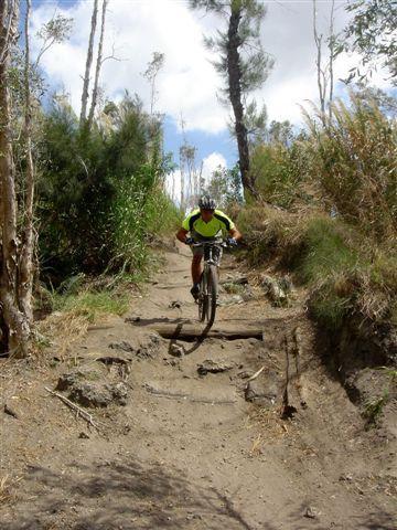 A mountain biker navigating a rocky trail surrounded by greenery and tall trees under a partly cloudy sky. The cyclist is wearing a bright yellow shirt and a helmet, focusing on the uneven terrain ahead. Markham Park mountain bike trail.