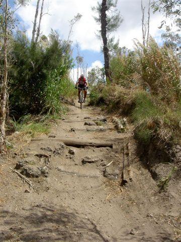A mountain biker navigating a rocky dirt trail surrounded by greenery and trees under a partly cloudy sky. Markham Park mountain bike trail.