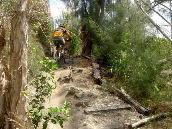 A person riding a mountain bike along a narrow dirt trail surrounded by lush greenery and trees. The trail is uneven with rocks and fallen logs, indicating a rugged outdoor environment. Markham Park mountain bike trail.