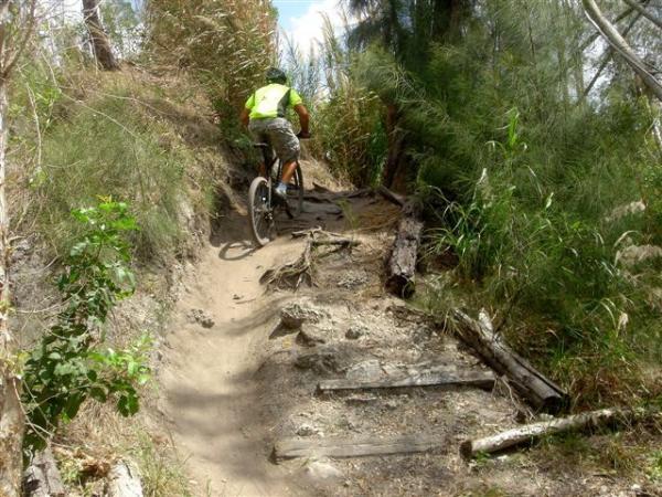 A mountain biker wearing a bright green shirt navigates a rugged downhill trail surrounded by tall grass and trees. The path is sandy and uneven, with exposed roots and wooden logs scattered along the terrain. Markham Park mountain bike trail.