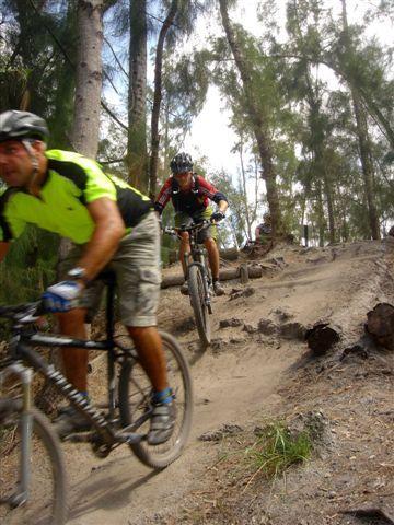 Two mountain bikers riding uphill on a sandy trail surrounded by tall trees. One biker, wearing a bright yellow and black outfit, is slightly in front, while the other, dressed in red and black, follows closely behind. The trail features patches of dirt and logs, emphasizing an outdoor, adventurous setting. Markham Park mountain bike trail.