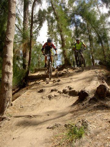 Two mountain bikers descending a dirt trail in a forested area. The trail is lined with trees, and the terrain is rugged with rocks and roots visible on the path. One rider is wearing a red and black jersey, while the other is in a yellow shirt. Both are focused on navigating the trail. Markham Park mountain bike trail.