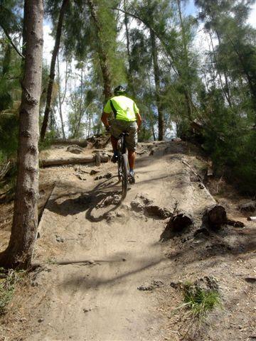 A person riding a mountain bike up a dirt trail surrounded by tall trees. The cyclist is wearing a bright yellow shirt and a helmet, navigating over rough terrain with logs and sandy ground. Markham Park mountain bike trail.