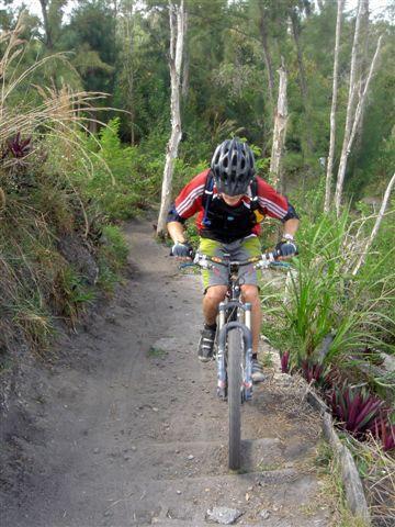A mountain biker navigating a narrow dirt path surrounded by greenery. The cyclist is wearing a helmet and is focused on climbing over a set of small steps on the trail. Lush vegetation and trees are visible in the background. Markham Park mountain bike trail.