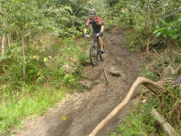 A mountain biker descending a steep, rugged trail surrounded by greenery and trees. The rider is wearing a helmet and a brightly colored jersey, navigating over a dirt path with roots and rocks. Markham Park mountain bike trail.