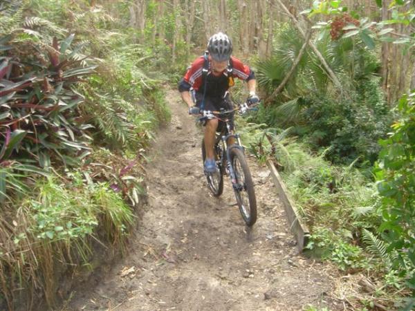 A mountain biker navigating a narrow, dirt trail surrounded by lush greenery and tropical plants. The cyclist is wearing a helmet and a red and black jersey, demonstrating concentration as they ride through a challenging section of the trail. Markham Park mountain bike trail.