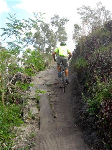 A person riding a mountain bike up a narrow dirt trail surrounded by greenery and trees. The cyclist is wearing a bright yellow vest and is navigating a slightly rugged path with wooden planks. Markham Park mountain bike trail.