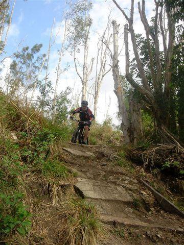 A mountain biker navigating a steep, rugged trail surrounded by tall trees and greenery. The path consists of rocky steps, and the sky is partly cloudy. Markham Park mountain bike trail.