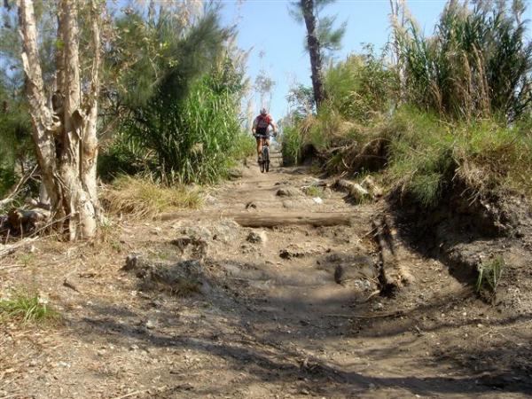 A mountain biker navigating a rugged, dirt trail surrounded by tall grass and trees on a sunny day. The path is uneven and shows signs of wear, with rocks and tire tracks visible. Markham Park mountain bike trail.