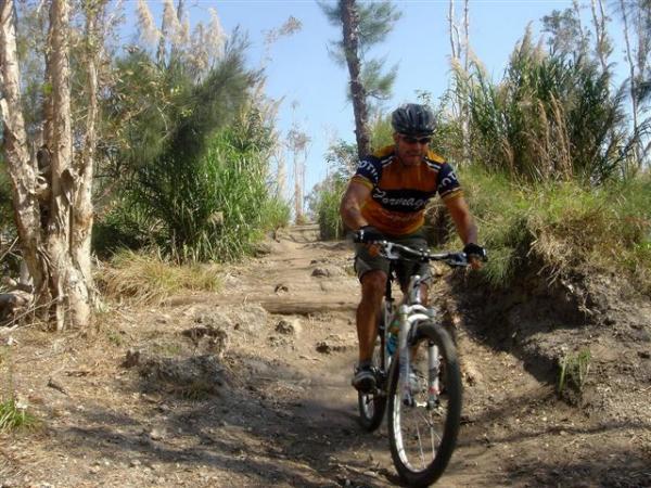 A mountain biker navigating a rugged dirt trail surrounded by trees and tall grass on a sunny day. The cyclist is wearing a helmet and a colorful cycling jersey, concentrating on the path ahead. Markham Park mountain bike trail.