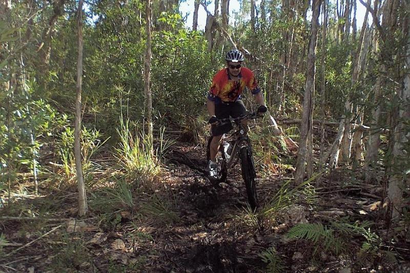 A person riding a mountain bike on a muddy trail surrounded by dense green foliage and trees. The cyclist is wearing a colorful shirt and a helmet, focused on navigating the uneven terrain. Sunlight filters through the trees, illuminating the scene. Markham Park mountain bike trail.