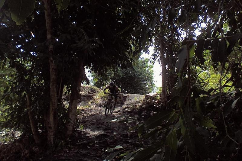 A cyclist navigating a rocky trail surrounded by dense foliage and trees. The path is partially sunlit, creating a contrast with the shaded areas from the surrounding greenery. Markham Park mountain bike trail.