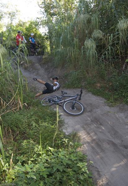 A mountain biker has fallen onto a dirt trail surrounded by tall grass and foliage, with their bike lying next to them. In the background, two other bikers are observing the scene. Markham Park mountain bike trail.