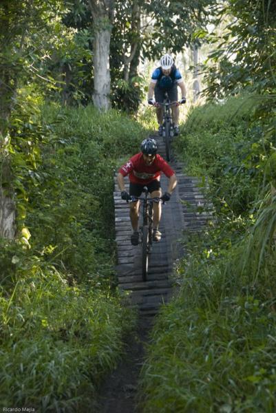 Two mountain bikers navigate a narrow, elevated wooden path through a lush, green forest. The rider in the foreground, wearing a red shirt and a helmet, leans forward as they descend, while a second biker in a blue shirt follows behind. Sunlight filters through the trees, highlighting the vibrant foliage around them. Markham Park mountain bike trail.