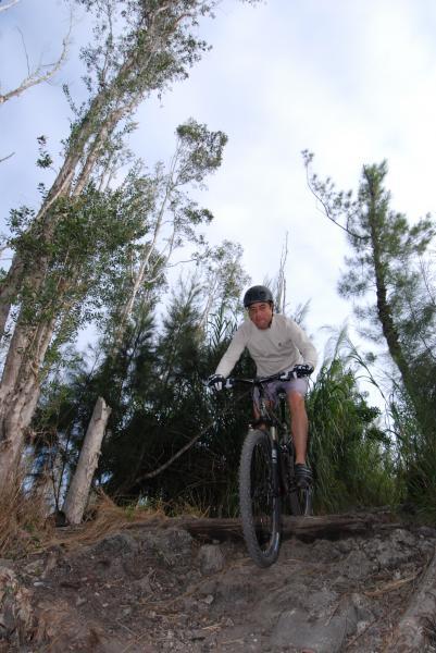 A person riding a mountain bike down a rocky trail surrounded by tall trees and greenery, wearing a helmet and a long-sleeve shirt. The sky is partially cloudy, and the scene captures a sense of adventure and outdoor activity in nature. Markham Park mountain bike trail.