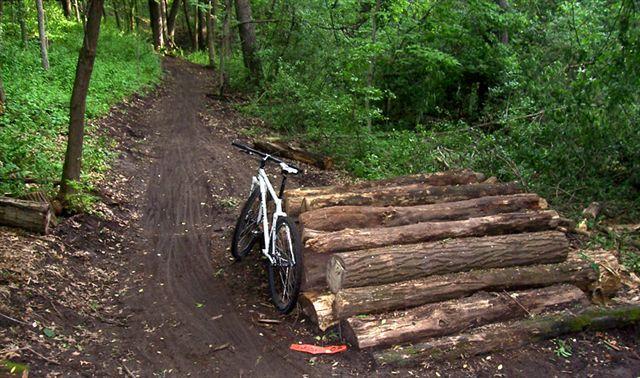 A mountain bike parked next to a stack of wooden logs along a dirt trail in a lush, green forest. Lebanon Hills mountain bike trail.