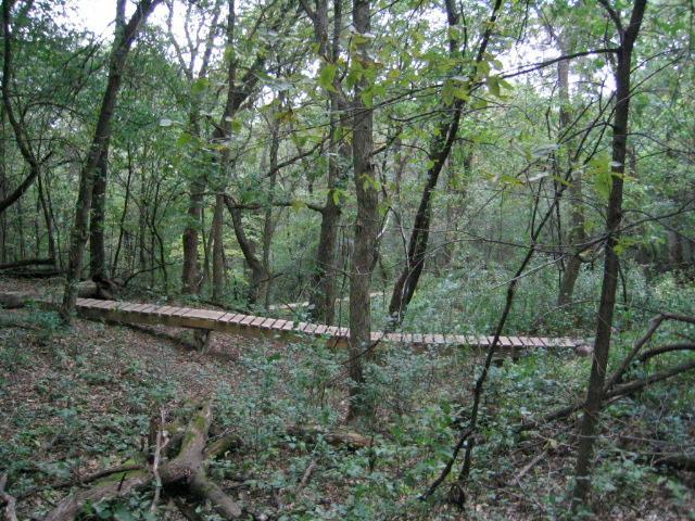 A wooden bridge spans a small area through a dense forest, surrounded by lush green trees and underbrush. The path is natural and integrates seamlessly into the landscape, illustrating a peaceful outdoor setting. Lebanon Hills mountain bike trail.
