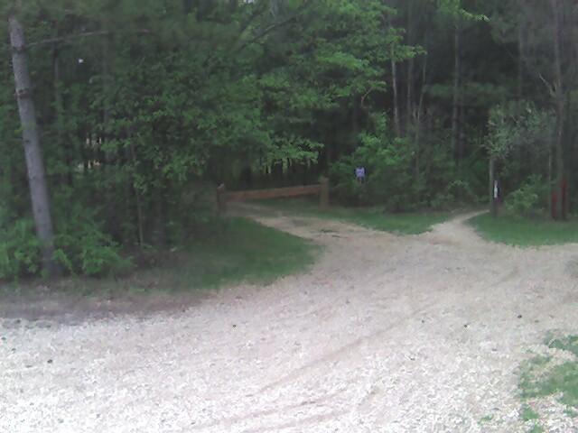 A gravel pathway forks in a wooded area, surrounded by lush green trees. A wooden gate is visible on the left side of the fork, while there are signs on the trees along the paths. The scene conveys a serene outdoor environment. Lebanon Hills mountain bike trail.