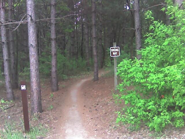 A narrow dirt path leading into a forest, with tall pine trees on either side. A sign on the right side of the path reads "WRONG WAY," indicating a potential navigation issue. Lush green foliage is visible along the edges of the path. Lebanon Hills mountain bike trail.