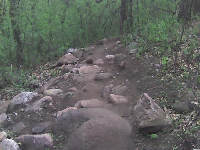 A rocky trail winding through a lush green forest, with various sized stones scattered along the path and trees in the background. Lebanon Hills mountain bike trail.