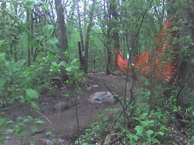 A forested area with lush green foliage and trees. In the background, there's a section of orange construction fencing that indicates restricted access, alongside some rocks on the ground. The scene appears to be a natural trail or pathway obscured by vegetation. Lebanon Hills mountain bike trail.