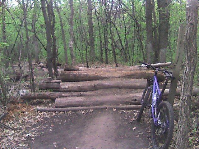 A mountain bike leaned against a tree next to a dirt path that leads to a makeshift barrier of logs in a green, wooded area. The scene is surrounded by tall trees and underbrush, indicating a natural trail. Lebanon Hills mountain bike trail.