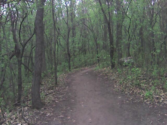 A winding dirt trail passes through a lush, green forest, surrounded by trees with fresh leaves. The scene captures the tranquility of nature, with scattered fallen leaves along the path and dappled sunlight filtering through the foliage. Lebanon Hills mountain bike trail.
