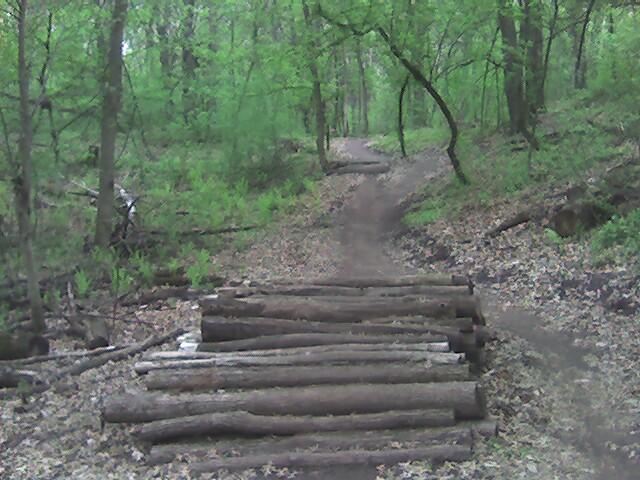 A wooded trail with lush green foliage and fallen leaves, featuring a rustic log bridge crossing over a small section of the path. The trail continues in the background, winding through the trees. Lebanon Hills mountain bike trail.