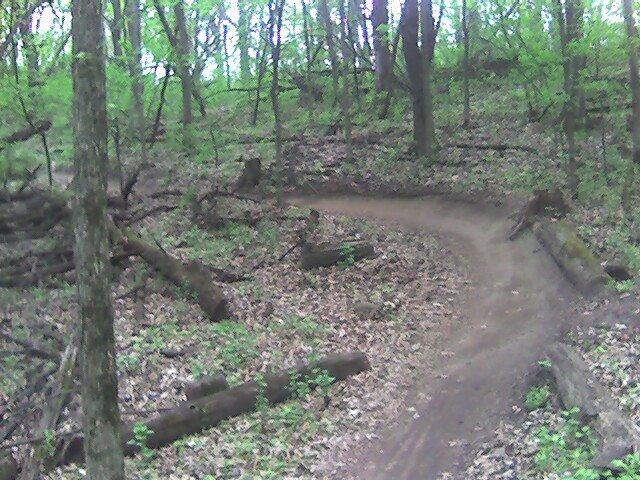 A winding dirt trail surrounded by green foliage in a wooded area, with fallen logs and dense trees lining the path. The trail curves gently to the right, covered with a layer of dry leaves. Lebanon Hills mountain bike trail.