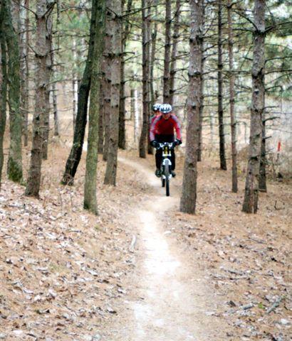 A person riding a mountain bike along a narrow dirt trail through a dense forest. The ground is covered with pine needles, and trees line both sides of the path. The rider is wearing a red jacket and a helmet. Lebanon Hills mountain bike trail.