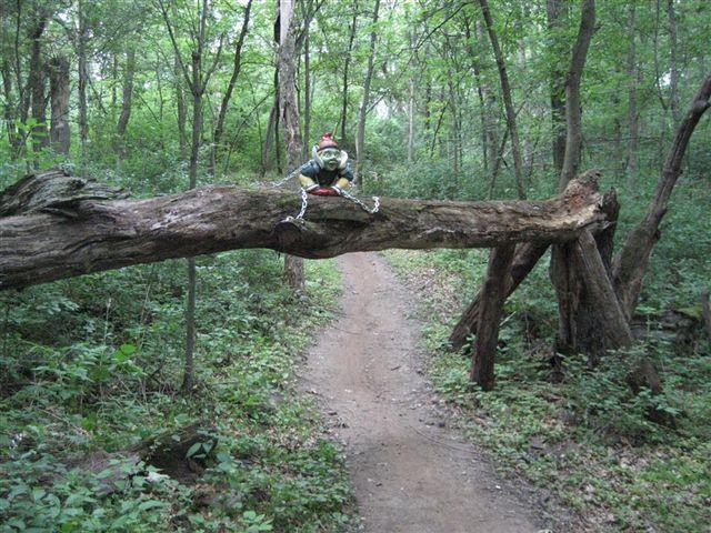 A whimsical scene in a forest where a small, mythical creature sits on a fallen log above a dirt path. The environment is lush with green foliage, and sunlight filters through the trees, creating a serene, enchanting atmosphere. Lebanon Hills mountain bike trail.