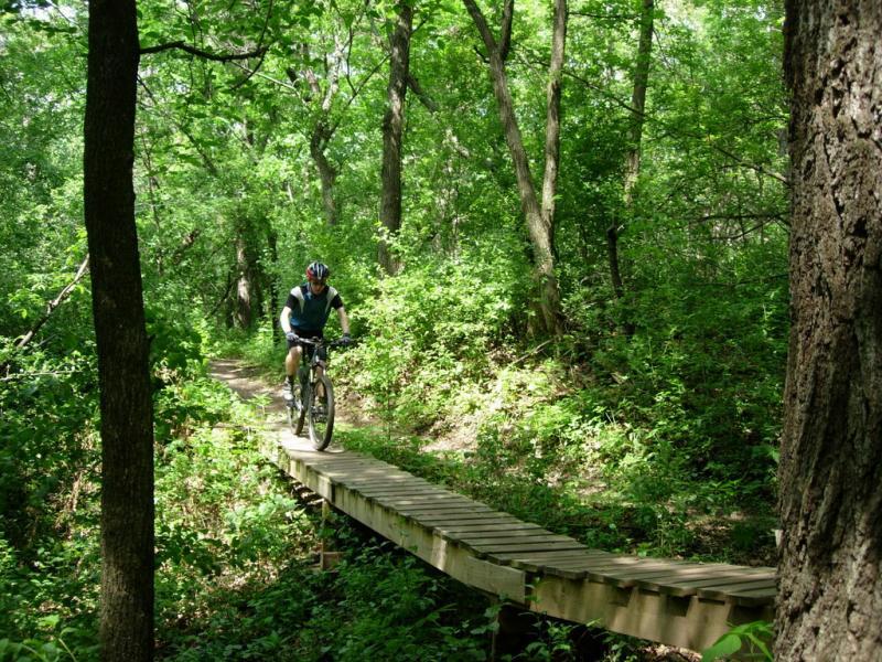 A person riding a mountain bike across a wooden bridge on a forest trail, surrounded by lush greenery and tall trees. Sunlight filters through the foliage, creating a vibrant and peaceful outdoor scene. Lebanon Hills mountain bike trail.