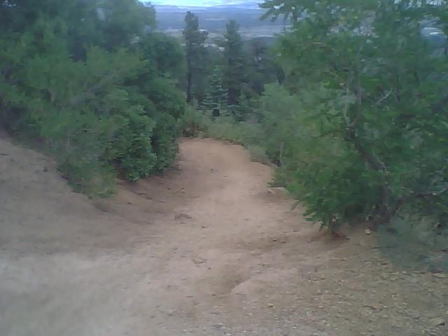 A dirt path winding through lush greenery, surrounded by trees, leading downhill with a scenic view in the background. Stratton Open Space / The Chutes mountain bike trail.