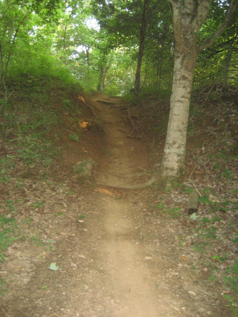 Alt text: A narrow, winding dirt path leading uphill in a lush green forest, surrounded by trees and foliage. The trail is slightly uneven and shows signs of erosion, with visible roots and rocks along the sides. Chickasaw Trace mountain bike trail.