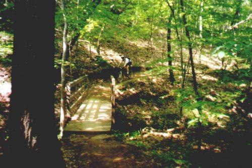 A wooden bridge crossing over a small creek in a lush, green forest. The path leading to the bridge is surrounded by trees with vibrant leaves, and a person is seen walking on the trail near the bridge. The forest floor is covered with fallen leaves and foliage. Oak Mountain State Park Bump Trail mountain bike trail.