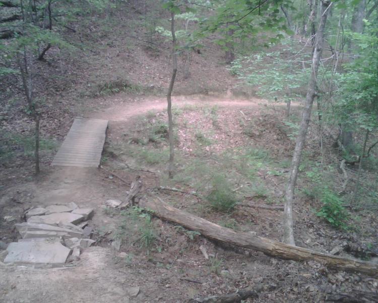 A winding dirt trail through a wooded area, featuring a wooden bridge crossing a small dip. The scene is surrounded by green trees and underbrush, with scattered leaves on the ground. Oak Mountain State Park mountain bike trail.