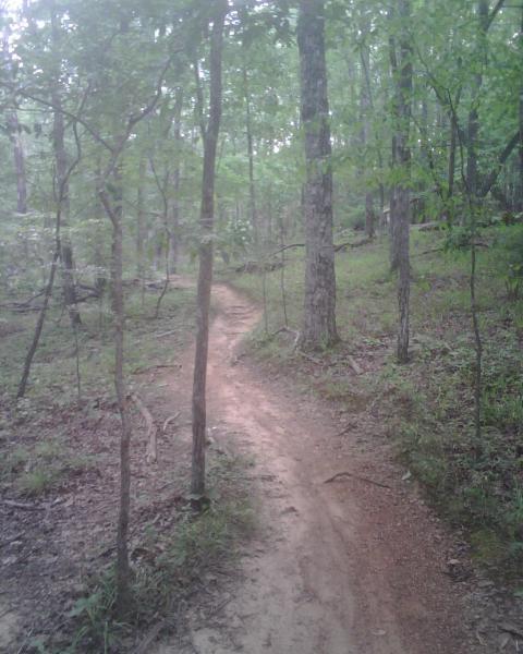 A narrow dirt trail winding through a dense, green forest, surrounded by tall trees and underbrush. The path is lightly worn, suggesting it is frequently used for hiking or walking. Bright green foliage partly filters sunlight, creating a serene and natural atmosphere. Oak Mountain State Park mountain bike trail.