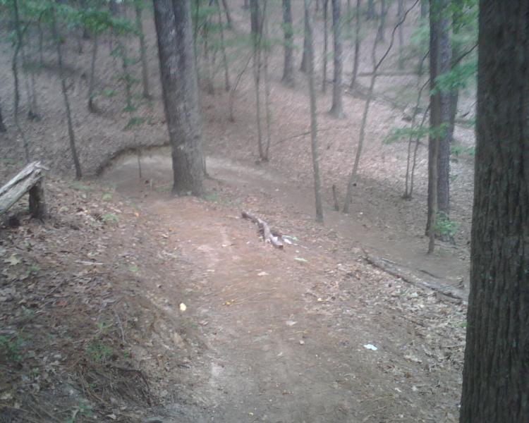 A winding dirt path leads through a dense forest, with tall trees surrounding the trail. The ground is covered in fallen leaves and small branches, creating a natural, earthy scene. Soft lighting adds a tranquil atmosphere to the setting. Oak Mountain State Park mountain bike trail.