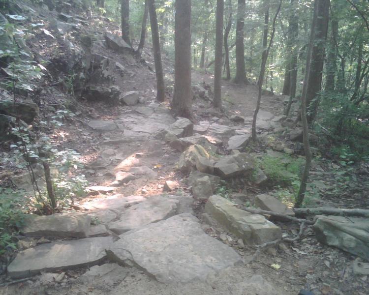 A rocky trail winding through a dense forest, surrounded by tall trees and greenery. Sunlight filters through the leaves, illuminating sections of the path and highlighting the uneven stones. Oak Mountain State Park Bump Trail mountain bike trail.