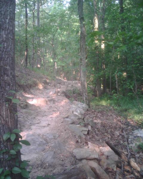 A winding dirt path surrounded by lush green trees and vegetation, leading through a forested area. The trail features rocky sections and is partially shaded by the canopy above. Oak Mountain State Park mountain bike trail.