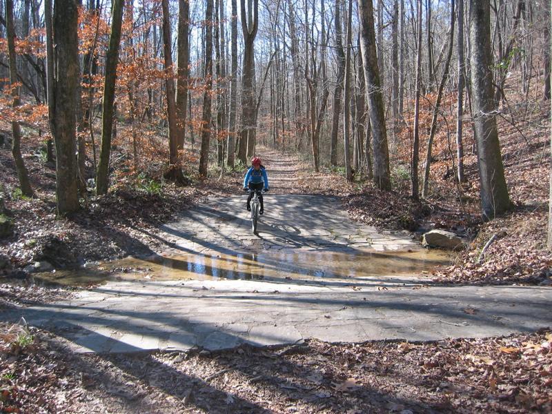 A cyclist riding a mountain bike on a wooded trail, crossing over a rocky area with a small puddle, surrounded by tall trees with some remaining autumn leaves. Oak Mountain State Park mountain bike trail.