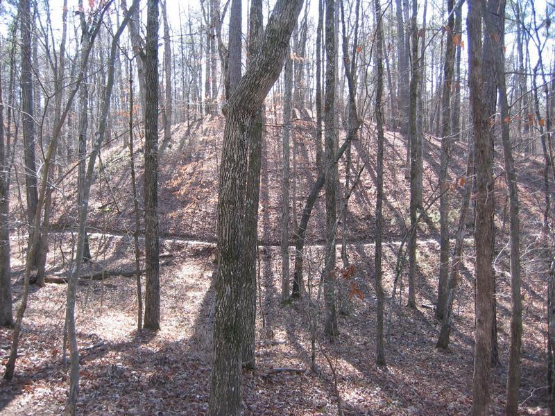 A wooded area with tall trees and a hill covered in fallen leaves, partially obscured by tree trunks and shadows. Oak Mountain State Park mountain bike trail.
