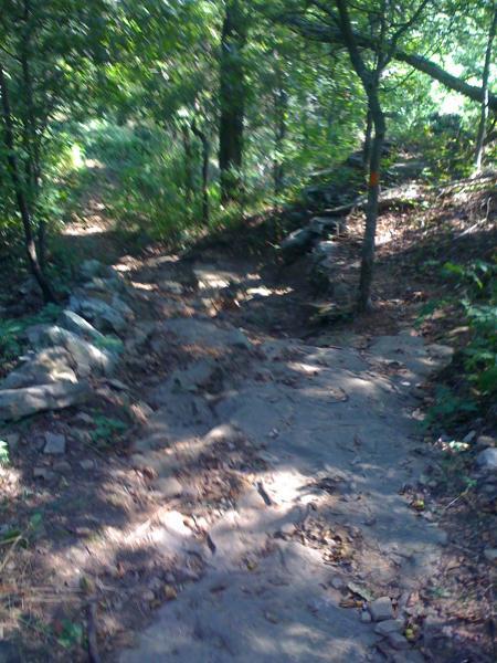 A rugged, natural hiking trail winding through a dense forest, with a rocky path and scattered leaves. Sunlight filters through the trees, illuminating the earthy tones of the terrain. Monte Sano State Park &amp; Land Trust mountain bike trail.