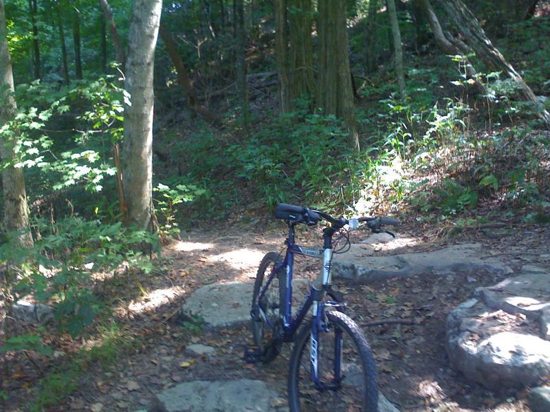 A mountain bike parked on a rocky trail surrounded by lush green vegetation and trees in a forested area. Monte Sano State Park &amp; Land Trust mountain bike trail.