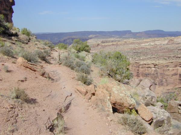 A winding dirt path surrounded by rocky terrain and sparse vegetation, leading toward a distant canyon landscape under a clear blue sky. Porcupine Rim mountain bike trail.